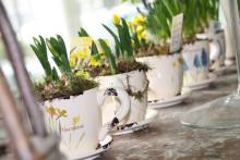 Fleuriste Port Jerome Sur Seine 76 L'esprit des fleurs